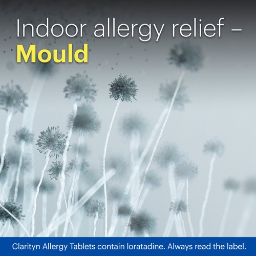 Clarityn One A Day Allergy Hayfever Relief Tablets thumbnail 7