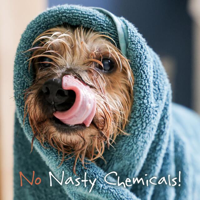 Little Beast Organic Scruffy Dog Shampoo Bar thumbnail 6