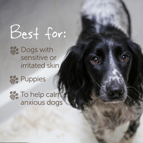 Little Beast Organic Sensitive Dog Shampoo Bar thumbnail 8