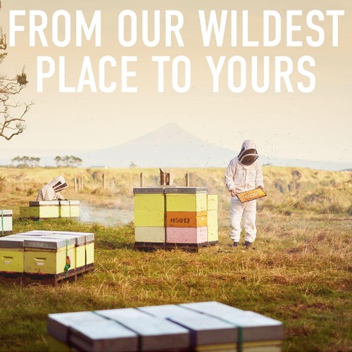 Egmont Honey 70 MGO Manuka Honey thumbnail 4