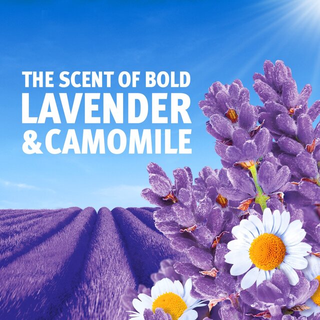 Bold Washing Powder Lavender & Camomile 72 Washes thumbnail 6