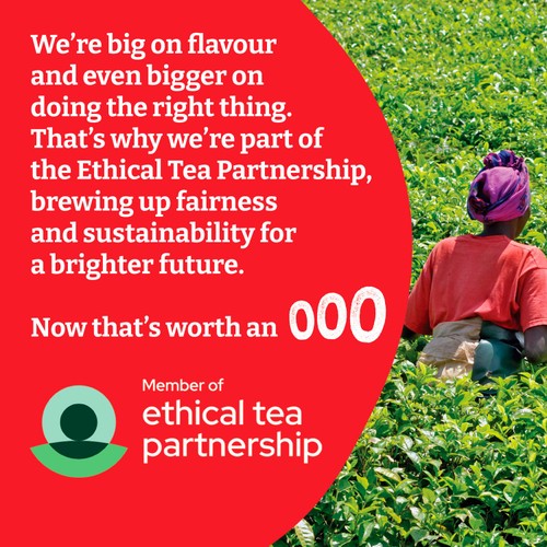 Typhoo Tea Bags thumbnail 10