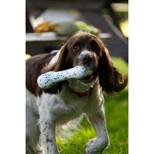 Petface Outdoor Paws Mighty Bone Dog Toy thumbnail 5