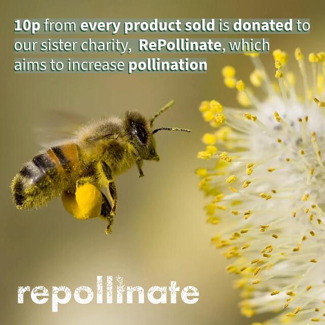 Scottish Bee Company Lemon Honey Dressing thumbnail 4