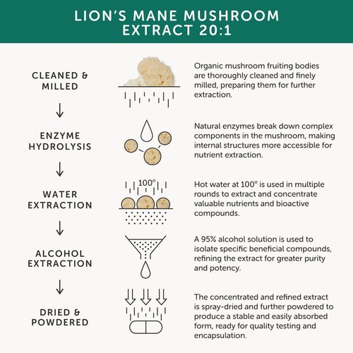 Together Health Organic Lions Mane Mushroom thumbnail 6
