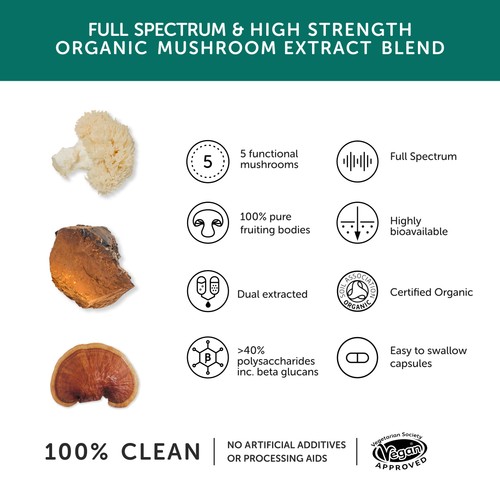 Together Health Mushroom 5 Lions Mane, Chaga & Reishi thumbnail 5