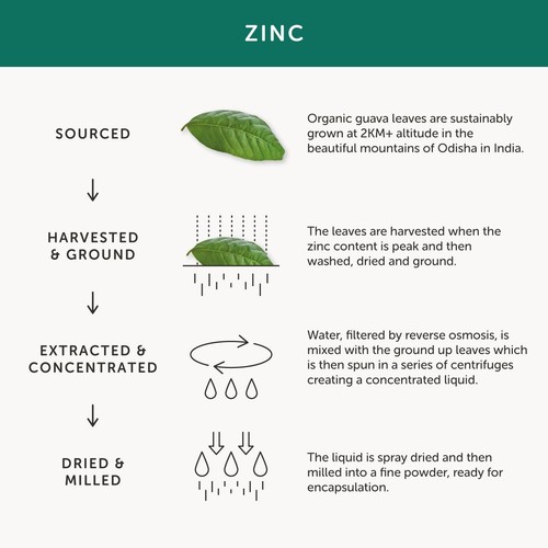 Together Health Organic Zinc, Natural Source thumbnail 6