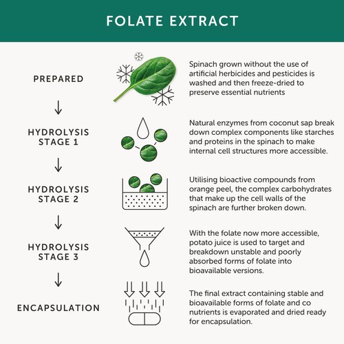 Together Health Folate, Natural Folic Acid 400 mcg thumbnail 6