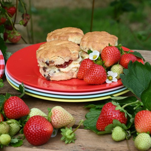 Summerhouse Strawberries & Cream Set of 4 Reusable Plates thumbnail 4