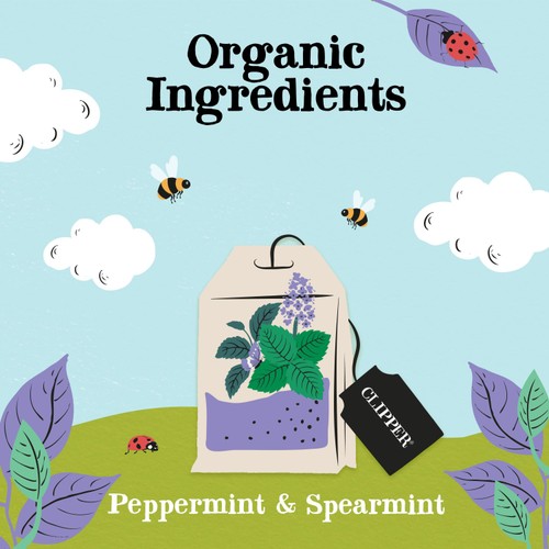 Clipper Peppermint & Spearmint Organic Tea Bags thumbnail 5