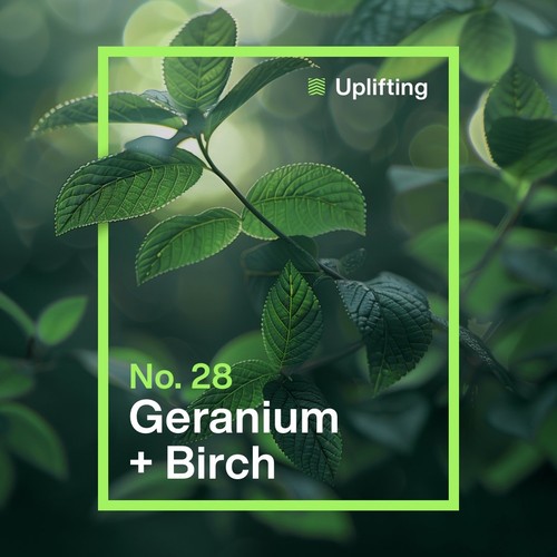  INEOS Non Bio Laundry Liquid XXL Value Box Geranium + Birch 100 Washes thumbnail 7