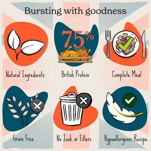 Forthglade British Classics Natural Wet Dog Food Hearty Turkey Stew thumbnail 3