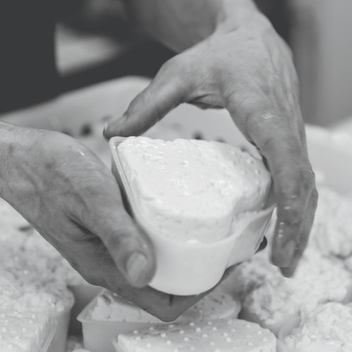 Daylesford Organic Baywell Cheese thumbnail 3