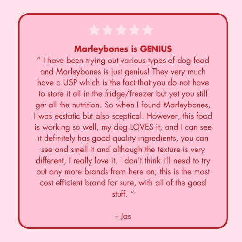 Marleybones Wet Dog Food - Beef & Superfoods thumbnail 9