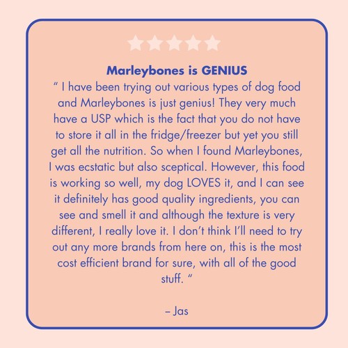 Marleybones Wet Dog Food - Salmon & Superfoods thumbnail 8