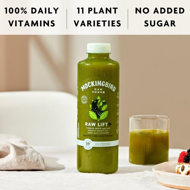 Mockingbird Raw Daily Greens Juice, Cucumber, Spinach, Pineapple, Kiwi thumbnail 3