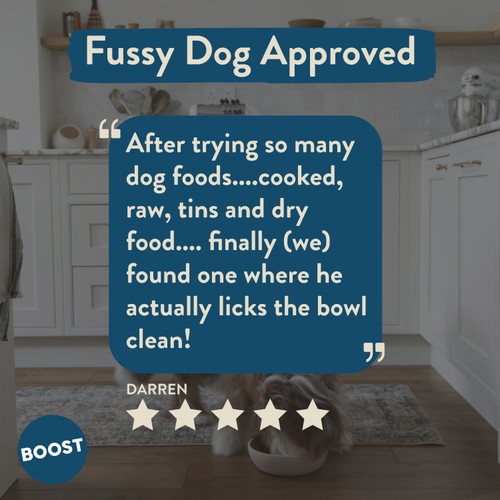 BOOST Pet Chicken with Superfoods Meal for Dogs thumbnail 4