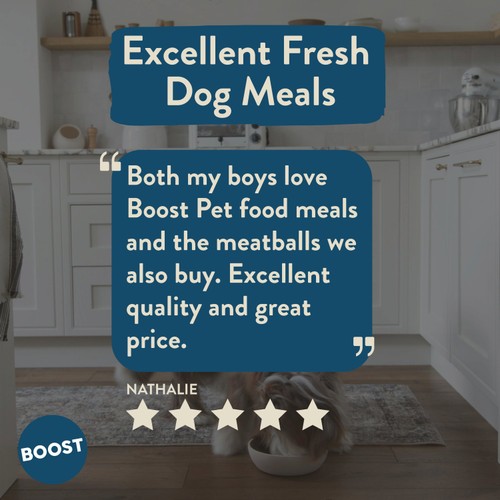 BOOST Pet Beef with Superfoods Meal for Dogs thumbnail 3