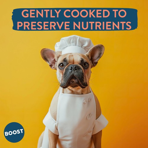 BOOST Pet Beef with Superfoods Meal for Dogs thumbnail 5