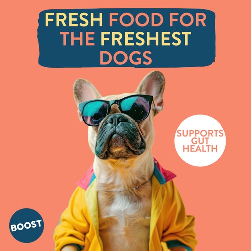 BOOST Pet Beef with Superfoods Meal for Dogs thumbnail 6