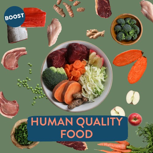 BOOST Pet Beef with Superfoods Meal for Dogs thumbnail 7