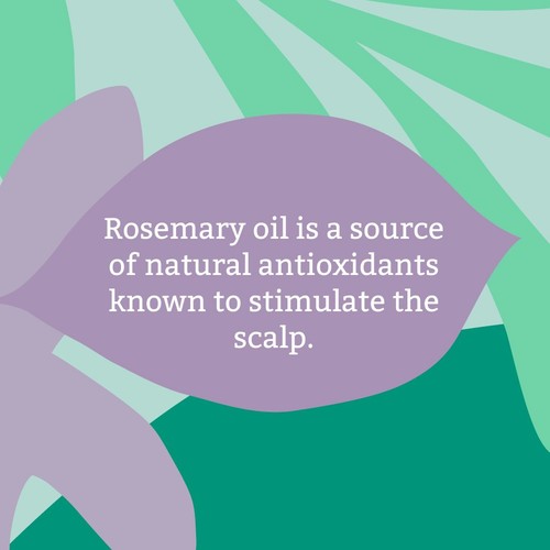 Faith In Nature Conditioner Rosemary thumbnail 5