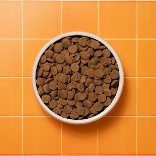 Pooch & Mutt Primal Wild Boar Meat Dry Food thumbnail 3