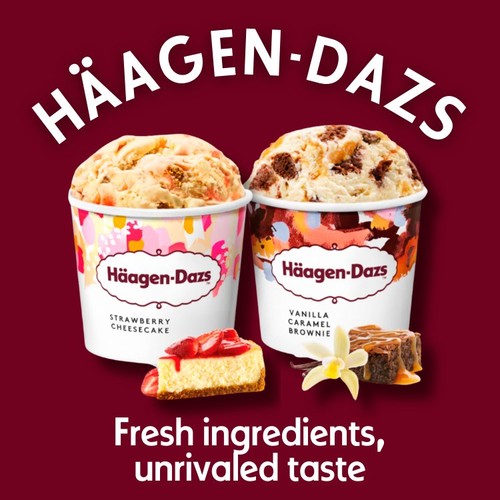 Haagen-Dazs Dessert Collection Mini Cups Ice Cream thumbnail 2