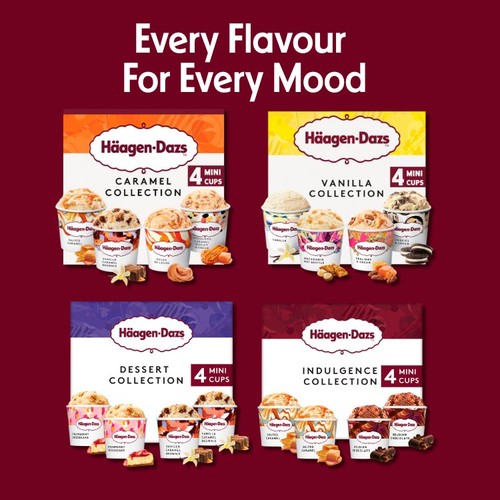 Haagen-Dazs Dessert Collection Mini Cups Ice Cream thumbnail 4