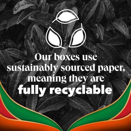 PG Tips Chai Warm and Spicy Plant Based Biodegradable Tea Bags thumbnail 4