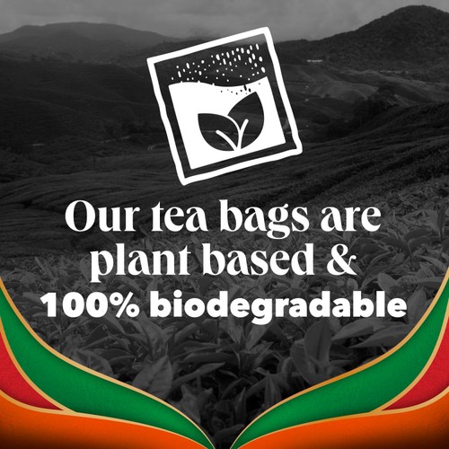 PG Tips Chai Warm and Spicy Plant Based Biodegradable Tea Bags thumbnail 6