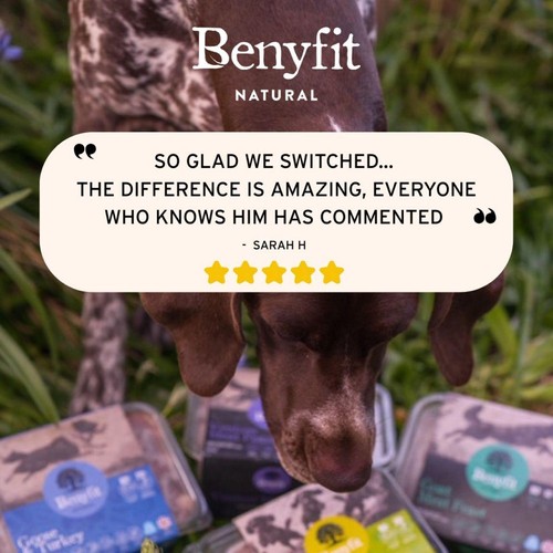 Benyfit Natural Sensitive Complete Raw Dog Food thumbnail 6