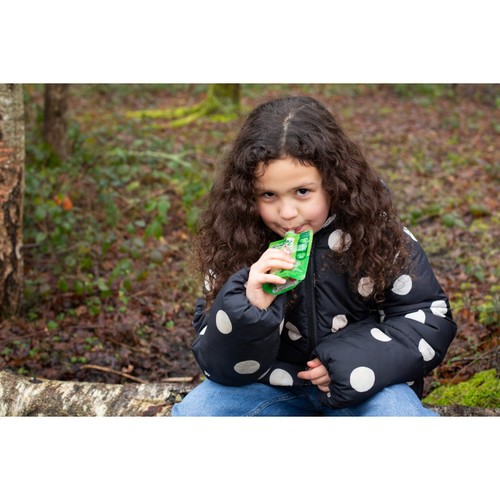 GoGo squeeZ Fruit Smoothie Snack Apple thumbnail 6