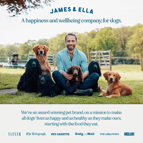 James & Ella Freeze-Dried Raw Chicken Dog Treats thumbnail 6