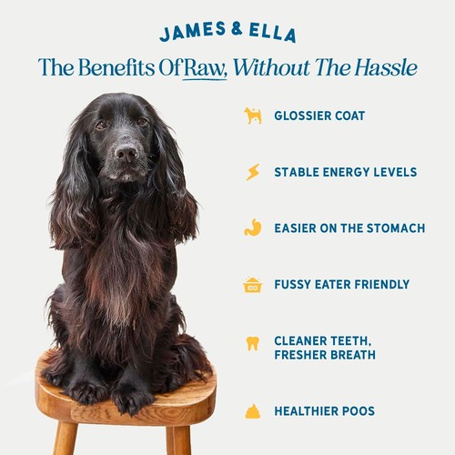 James & Ella Freeze-Dried Raw Chicken Complete Dog Food thumbnail 2