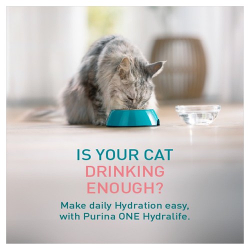 Purina One Hydralife Cat Liquid Salmon thumbnail 4