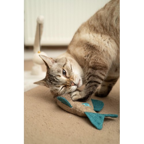Petface Large Catnip Fish Plush Cat Toy thumbnail 3