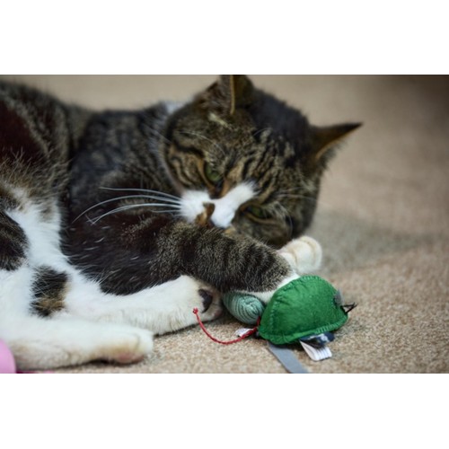 Catkins Three Kind Mice Plush Cat Toys thumbnail 5