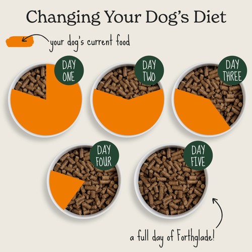Forthglade Cold Pressed Small Breed Dry Dog Food Turkey with Sweet Potato thumbnail 3