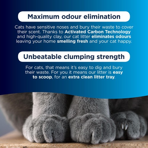 Ever Clean Senior Cat Clumping Cat Litter thumbnail 5