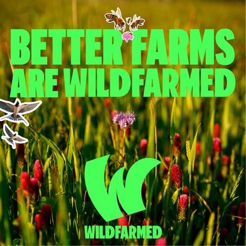 Wildfarmed Sliced Seeded Bread thumbnail 8