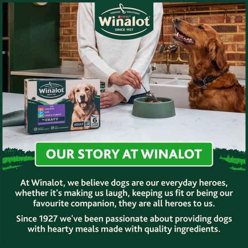 Winalot Classics Mixed Meat in Jelly Wet Dog Food Can thumbnail 7