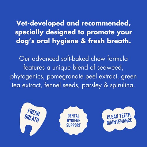 Marleybones Dental Supplement Chew thumbnail 8