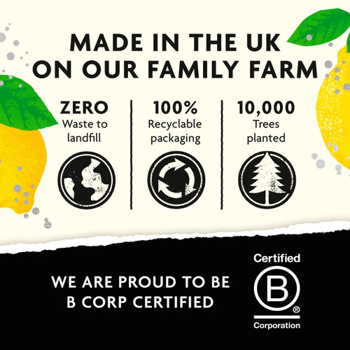 Belvoir Hand-Made Lemonade Presse thumbnail 3