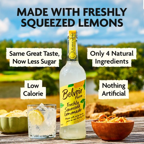 Belvoir Hand-Made Lemonade Presse thumbnail 4