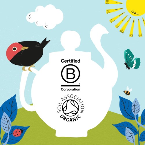 Clipper Organic Naturally Decaffeinated Tea Bags thumbnail 7
