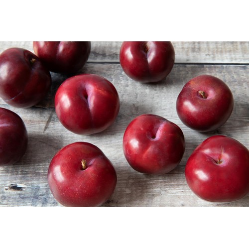 Diamond Crop Ripe and Ready to Eat Plums thumbnail 5
