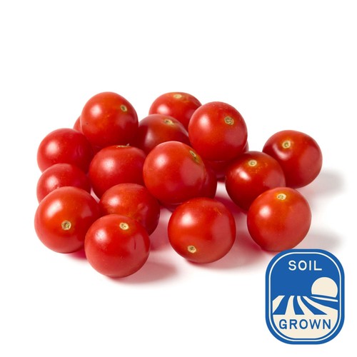Natoora Sicilian Cherry Vine Ripened Tomatoes