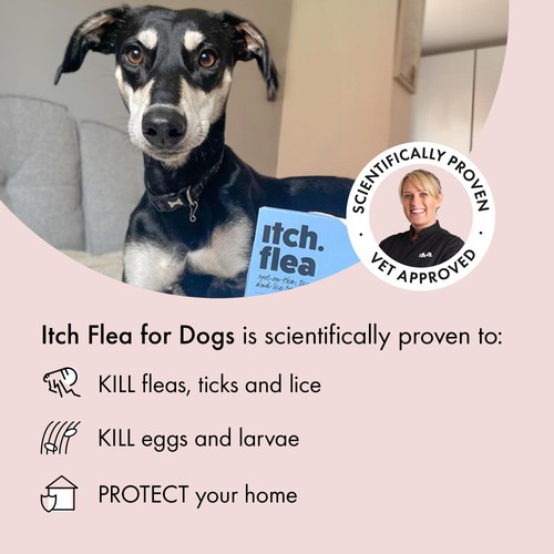 Itch Flea & Tick Treatment for Medium Dogs (10-20kg) thumbnail 2