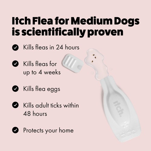 Itch Flea & Tick Treatment for Medium Dogs (10-20kg) thumbnail 3